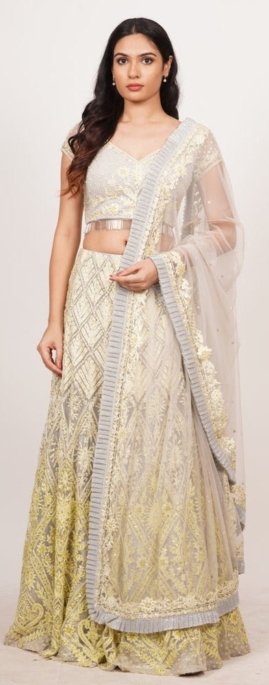 Grey Net Lehenga Choli