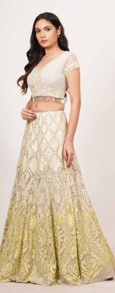 Grey Net Lehenga Choli