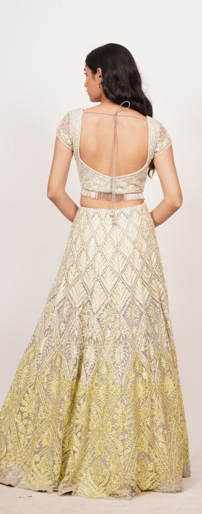 Grey Net Lehenga Choli