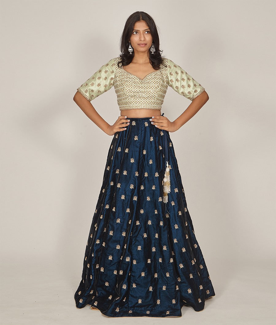 Navy Blue Velvet Lehenga With Sequins, Cutdana & Zardosi